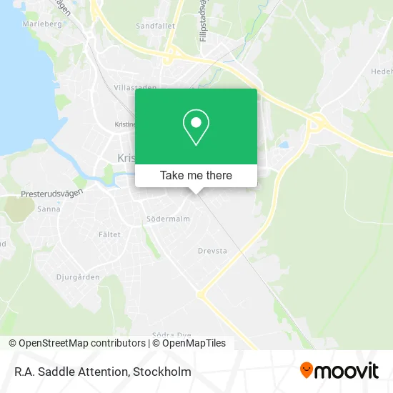 R.A. Saddle Attention map