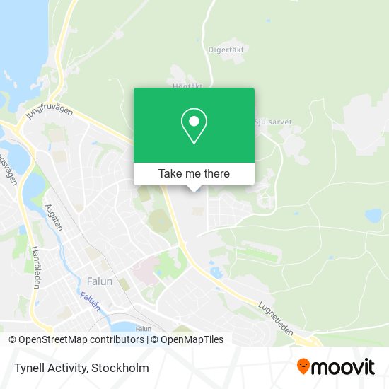 Tynell Activity map