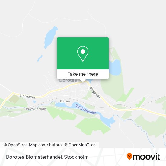 Dorotea Blomsterhandel map