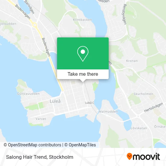 Salong Hair Trend map