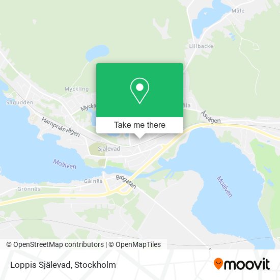 Loppis Själevad map