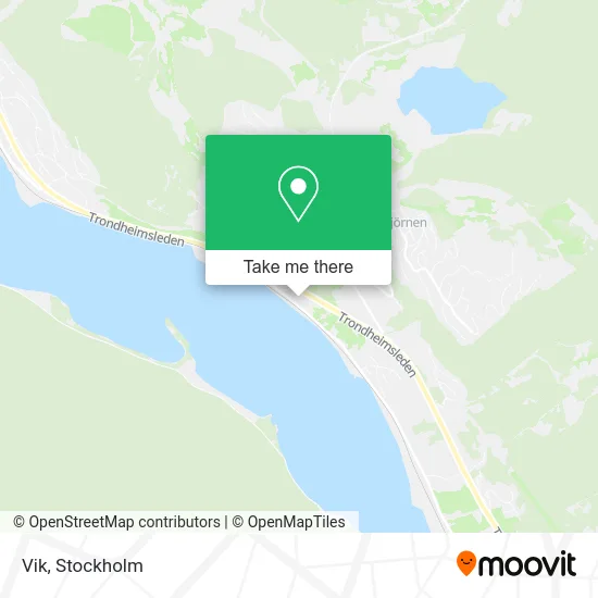 Vik map