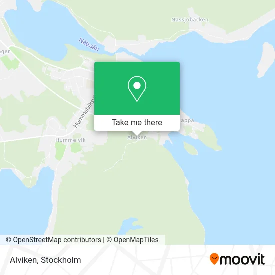 Alviken map