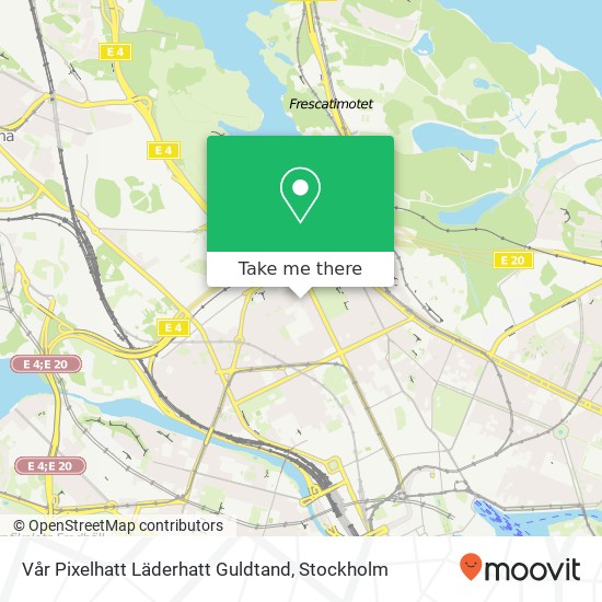 Vår Pixelhatt Läderhatt Guldtand map