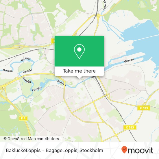 BakluckeLoppis = BagageLoppis map