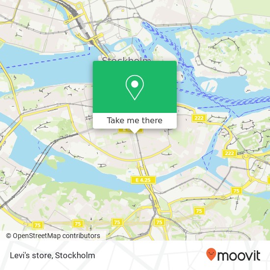 Levi's store map