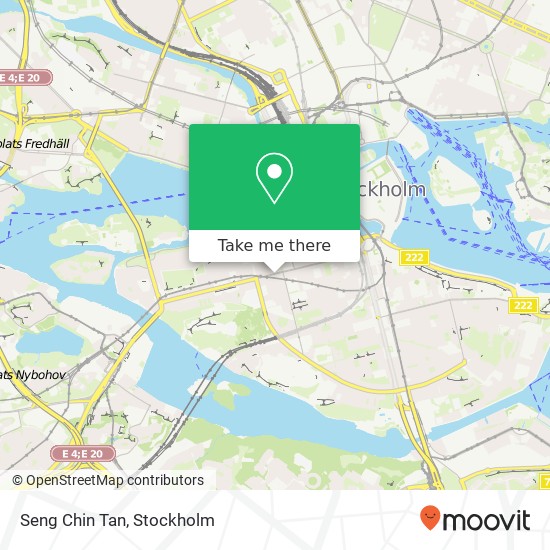 Seng Chin Tan, Hornsgatan 65 SE-118 49 Stockholm map