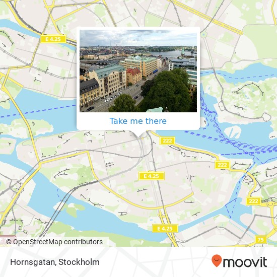 Hornsgatan map