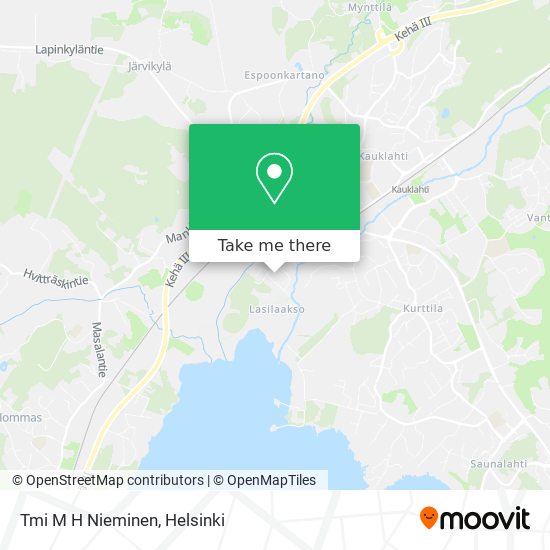 Tmi M H Nieminen map