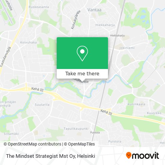 The Mindset Strategist Mst Oy map