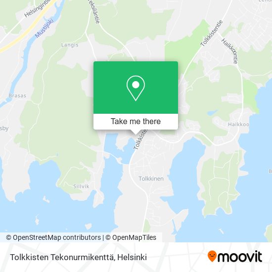 Tolkkisten Tekonurmikenttä map