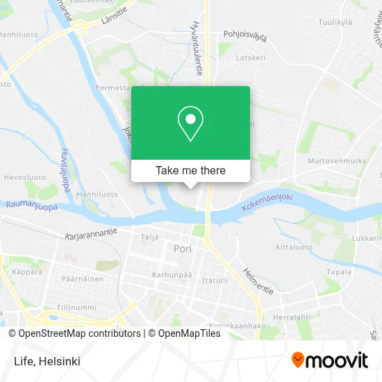 Life map