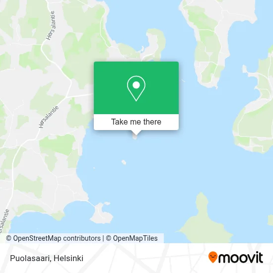 Puolasaari map