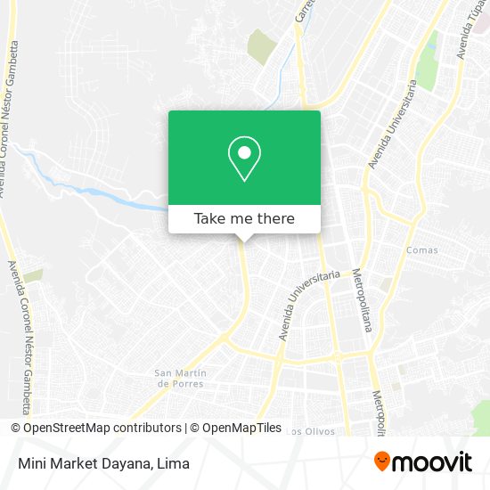 Mini Market Dayana map
