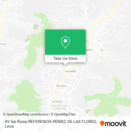 AV  las flores REFERENCIA RENIEC DE LAS FLORES map