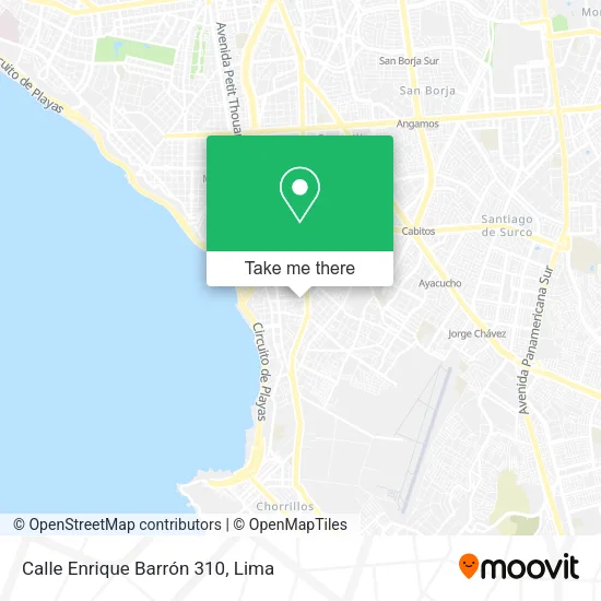 Mapa de Calle Enrique Barrón 310