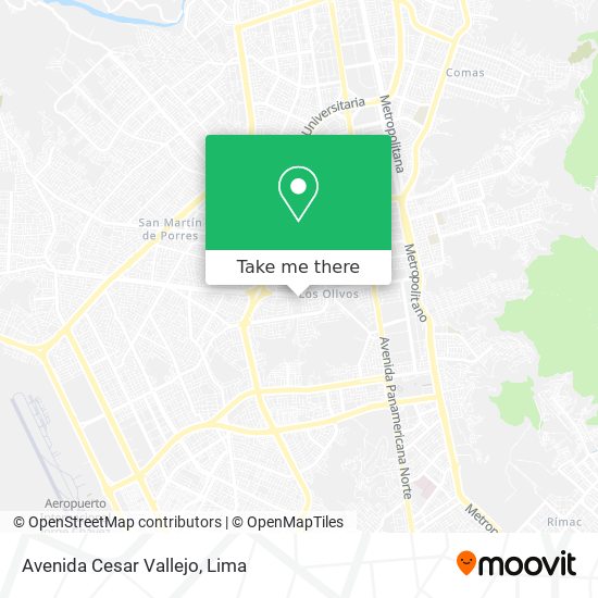 Avenida Cesar Vallejo map