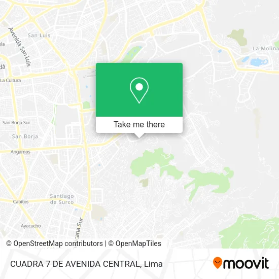 Mapa de CUADRA 7 DE AVENIDA CENTRAL