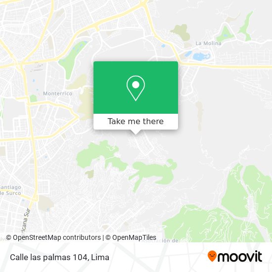 Calle las palmas 104 map