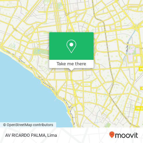 AV RICARDO PALMA map