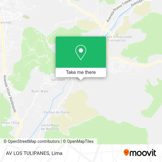 AV LOS TULIPANES map