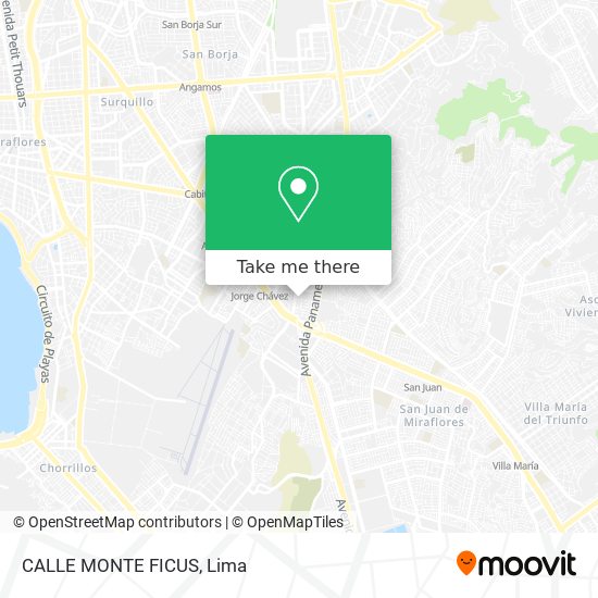 CALLE MONTE FICUS map