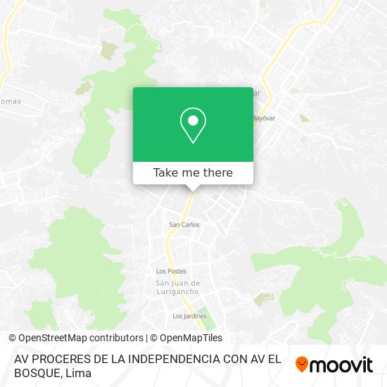 AV  PROCERES DE LA INDEPENDENCIA CON AV  EL BOSQUE map