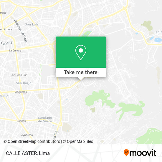 CALLE ASTER map