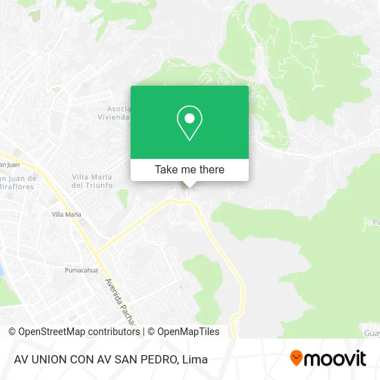 AV UNION CON AV  SAN PEDRO map