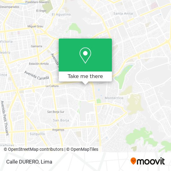 Calle DURERO map