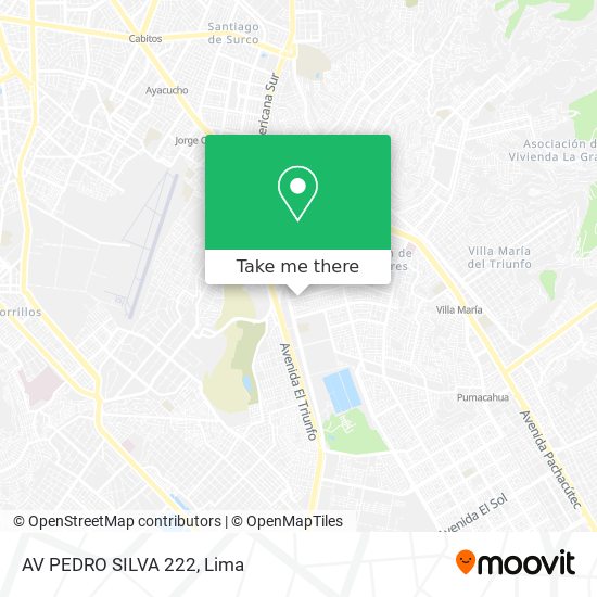 AV PEDRO SILVA 222 map