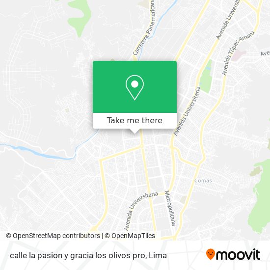 Mapa de calle la pasion y gracia los olivos pro