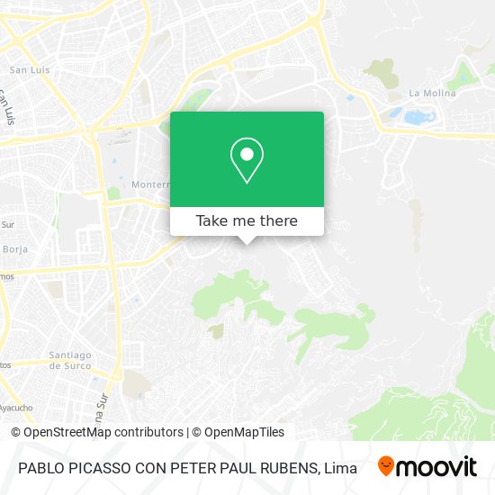 PABLO PICASSO CON PETER PAUL RUBENS map