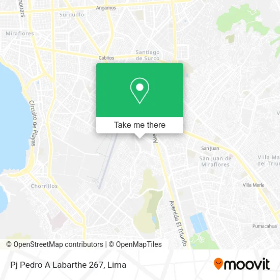 Mapa de Pj   Pedro A  Labarthe 267