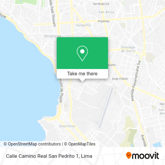 Mapa de Calle Camino Real   San Pedrito 1