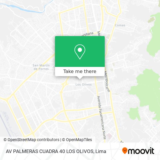 AV  PALMERAS CUADRA 40 LOS OLIVOS map