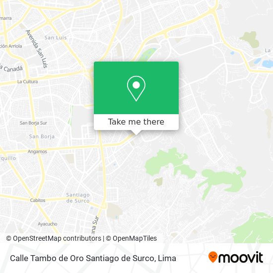 Mapa de Calle Tambo de Oro   Santiago de Surco