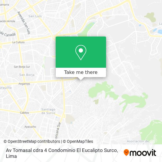 Av  Tomasal cdra  4  Condominio El Eucalipto  Surco map