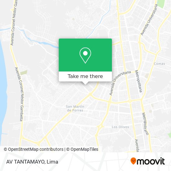 AV TANTAMAYO map