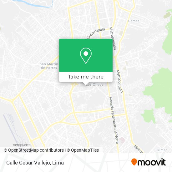 Calle Cesar Vallejo map