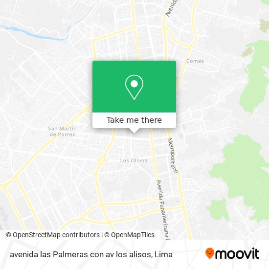 Mapa de avenida las Palmeras con av  los alisos