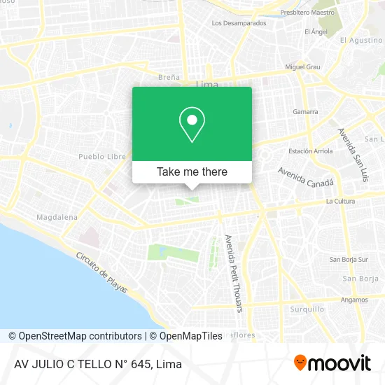 AV  JULIO C  TELLO N° 645 map