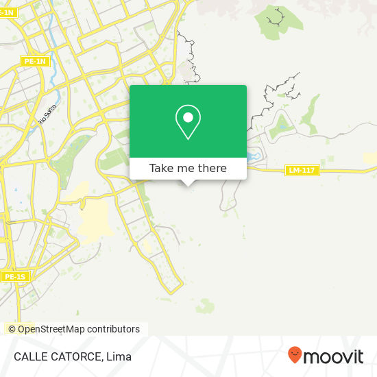 CALLE CATORCE map