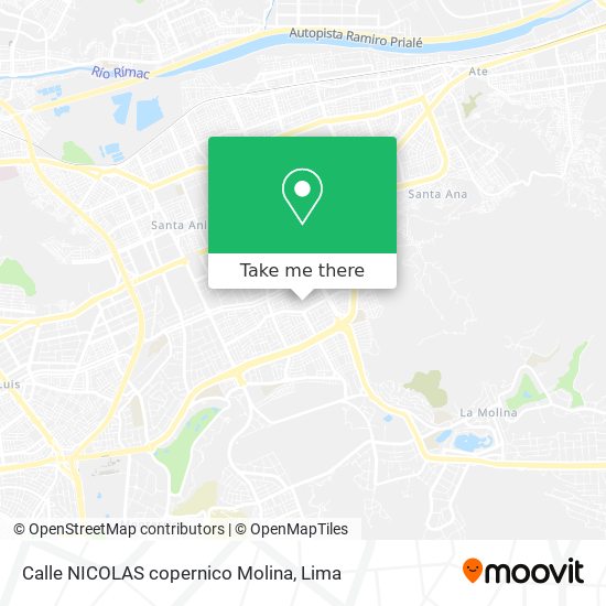 Calle NICOLAS copernico   Molina map