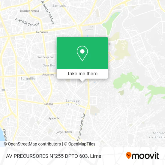 AV  PRECURSORES N°255  DPTO  603 map