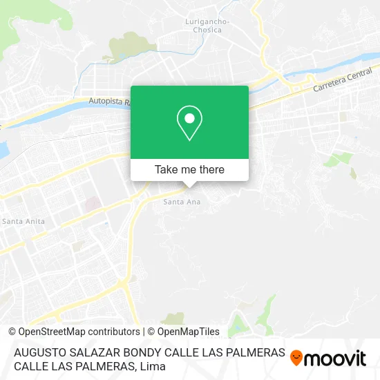 Mapa de AUGUSTO SALAZAR BONDY  CALLE LAS PALMERAS CALLE LAS PALMERAS