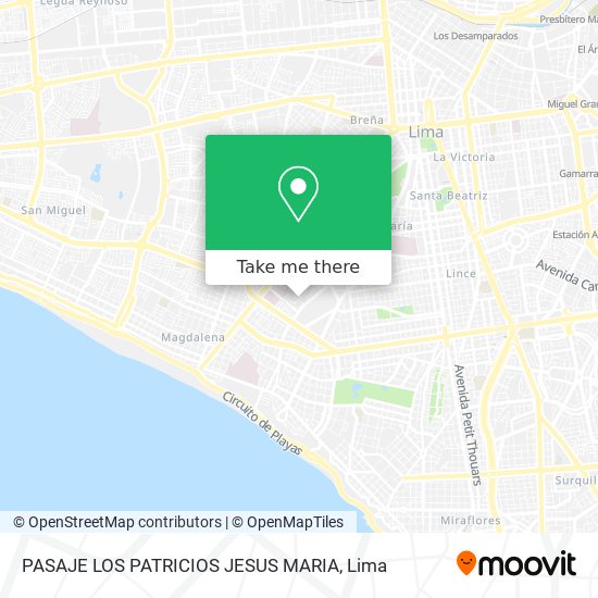 PASAJE LOS PATRICIOS   JESUS MARIA map