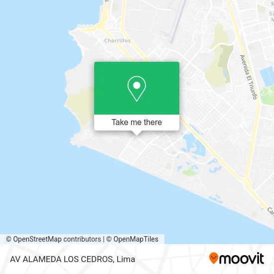 Mapa de AV ALAMEDA LOS CEDROS