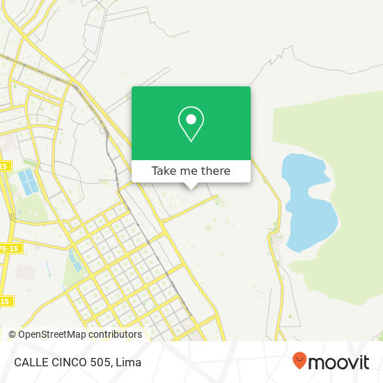 CALLE CINCO 505 map