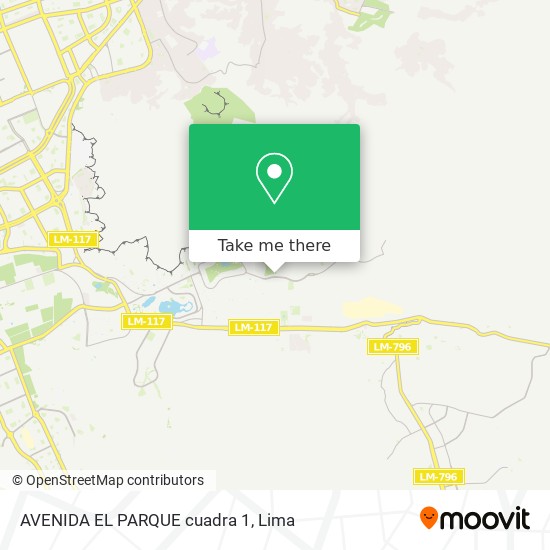Mapa de AVENIDA EL PARQUE cuadra 1
